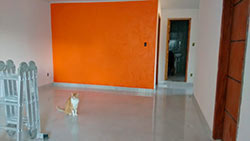 construção e reforma de casas