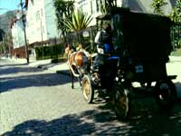 O primeiro tipo de taxi em petropolis, foi um veiculo com tração animal, conhecido na cidade com o apelido de (vitórias).